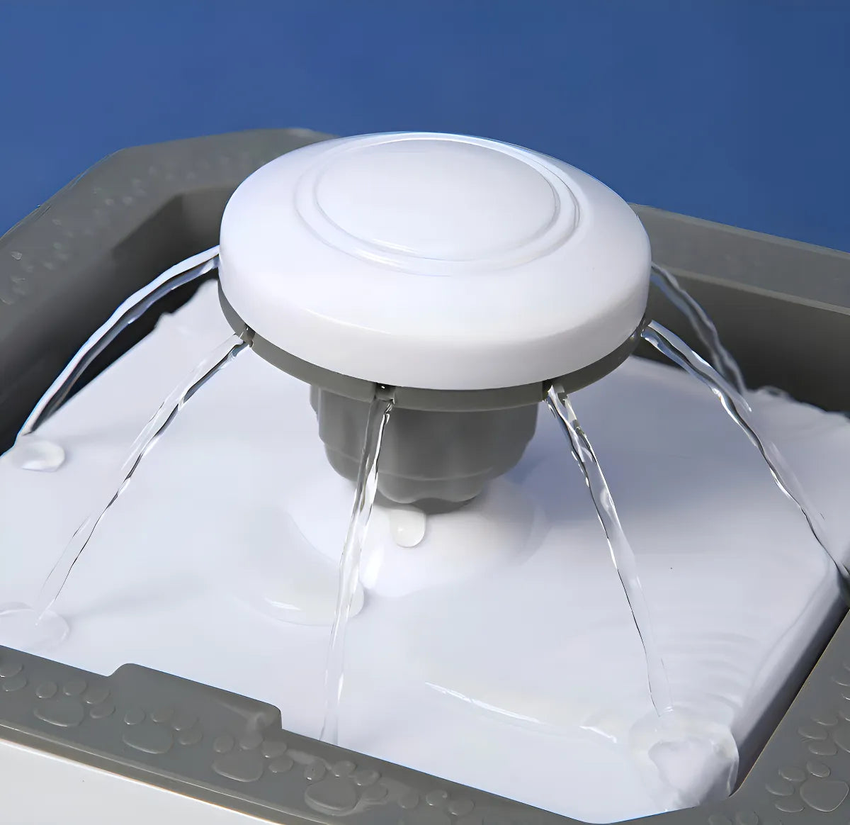 Fuente De Agua para mascotas Dog Cat  ⚡