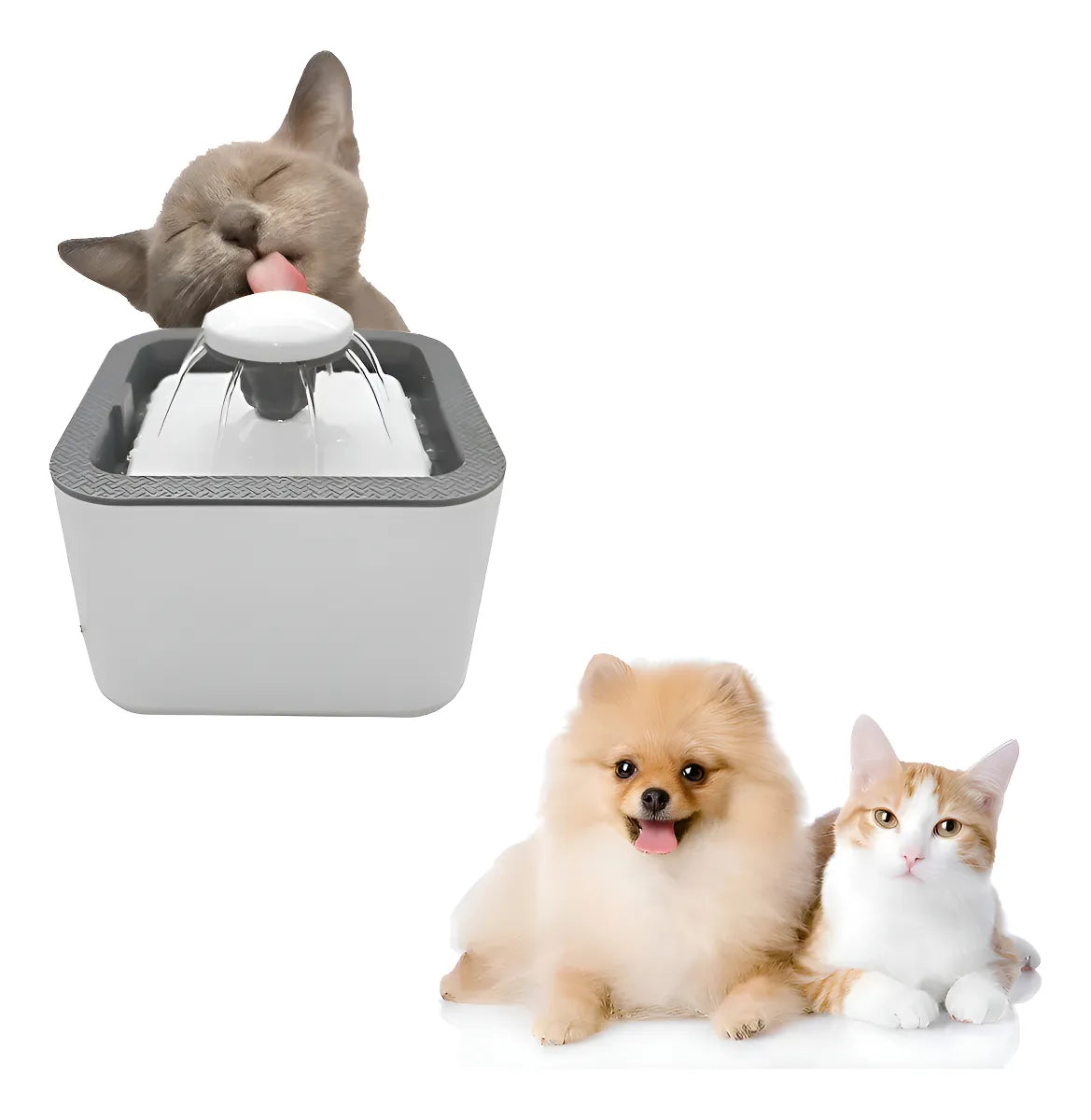 Fuente De Agua para mascotas Dog Cat  ⚡