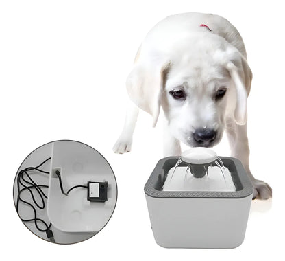 Fuente De Agua para mascotas Dog Cat  ⚡