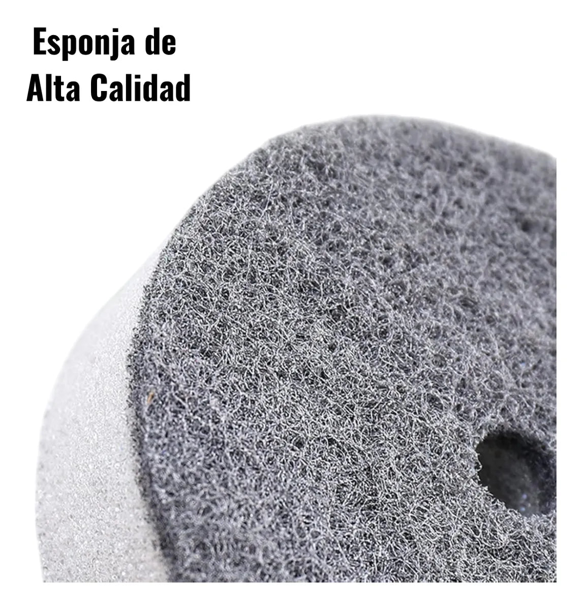 Set Esponja y Cepillo Dispensador